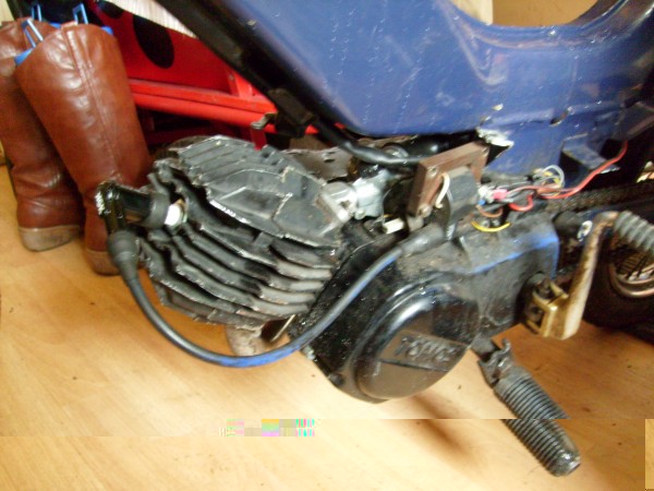 S7301930.JPG