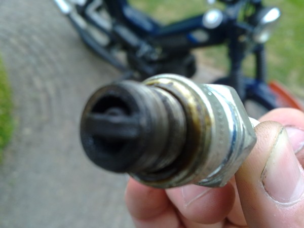 07072010032.jpg