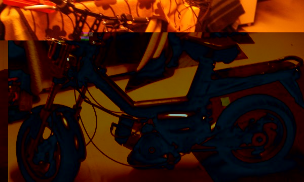IMAG0076.jpg