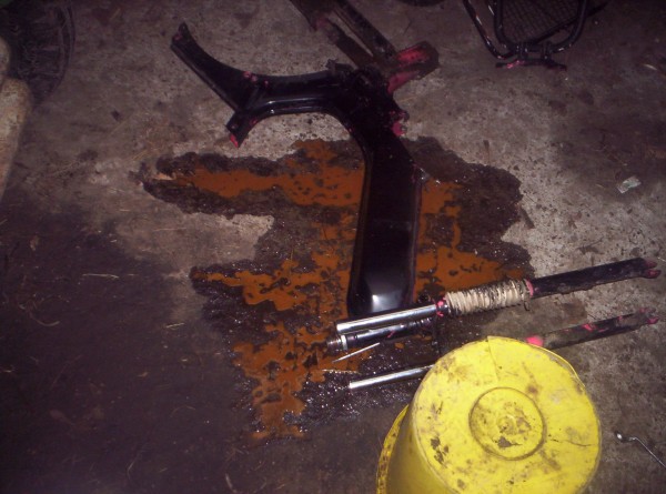 tomos project 009.JPG