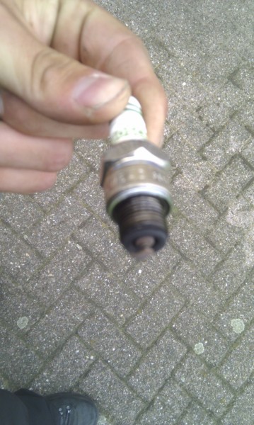 IMAG0272.jpg