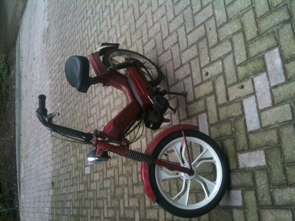 foto.JPG