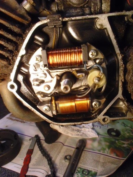 CIMG4675 (Large).JPG