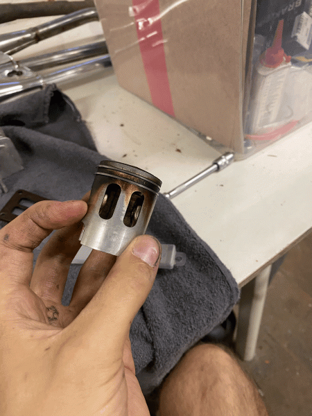tempImageYV1VIs.gif