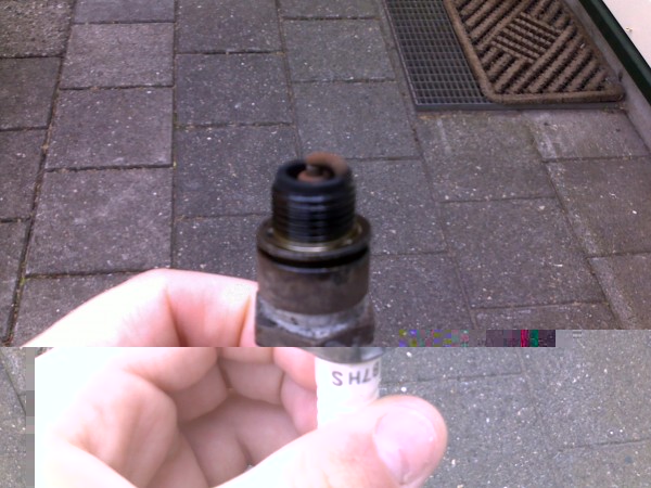 22062010161.jpg