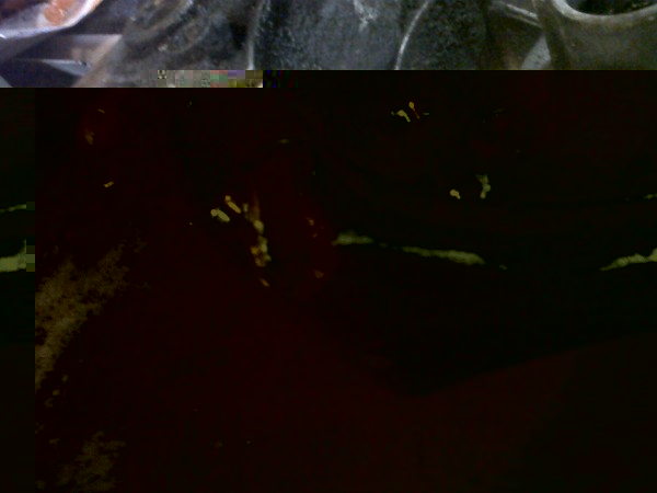 IMG00611-20120805-1202.jpg (316.36 KiB) 22311 keer bekeken IMG00611-20120805-1202.jpg