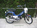 QUADRO_Ruben.JPG