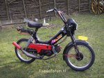 QUADRO_sanchez.jpg