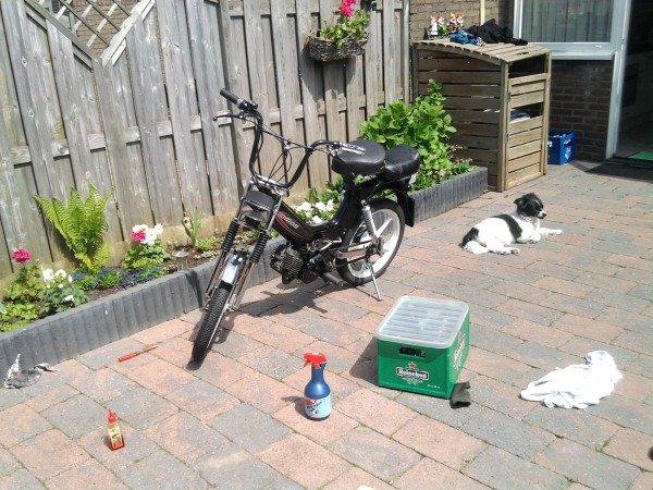 2010-05-18 14.25.22.jpg