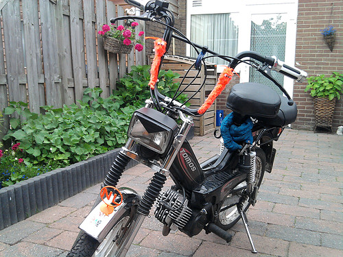 1009297048_5_YWn4.jpg