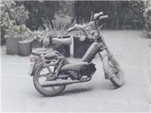 sneeuw.aspx.jpeg