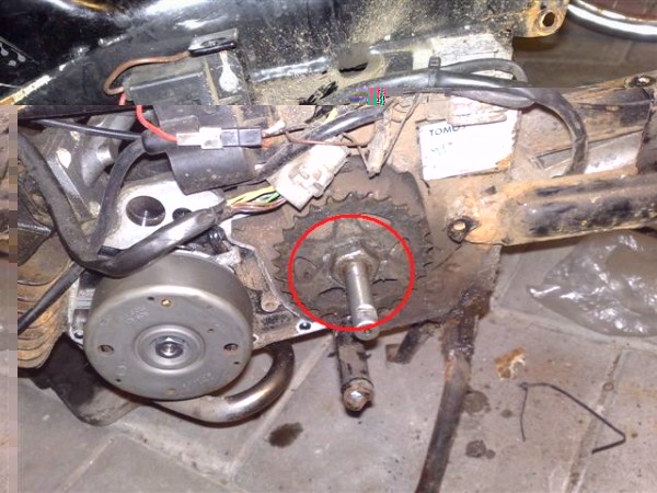 25032011205 (Small).jpg (91.54 KiB) 8395 keer bekeken 25032011205 (Small).jpg