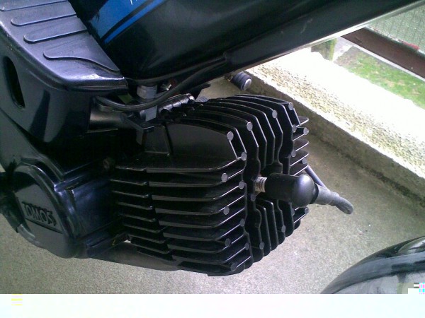 65CC_Snor.jpg