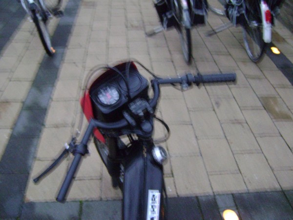 DSC01447.JPG